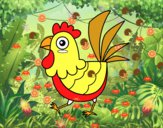 Gallina de granja