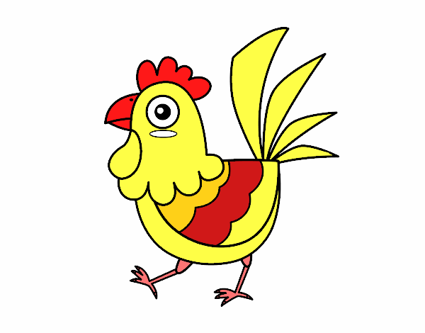 Gallina de granja