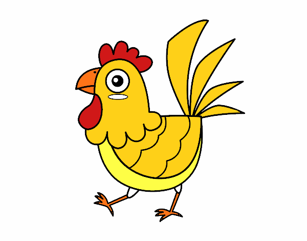 Gallina de granja