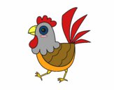 Gallina de granja