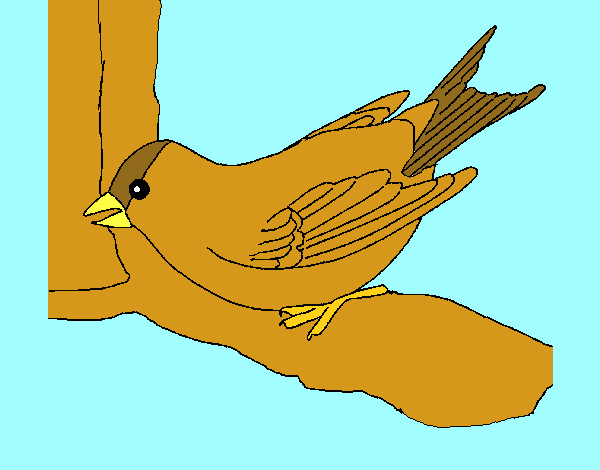 Dibujo Gorrión en una rama pintado por ojodehorus