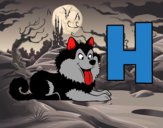 H de Husky