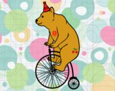 Oso en bicicleta