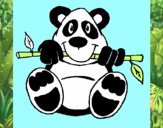 Oso panda