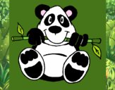 Oso panda