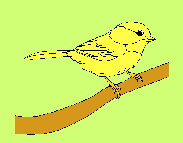 Dibujo Pájarito 1 pintado por ojodehorus