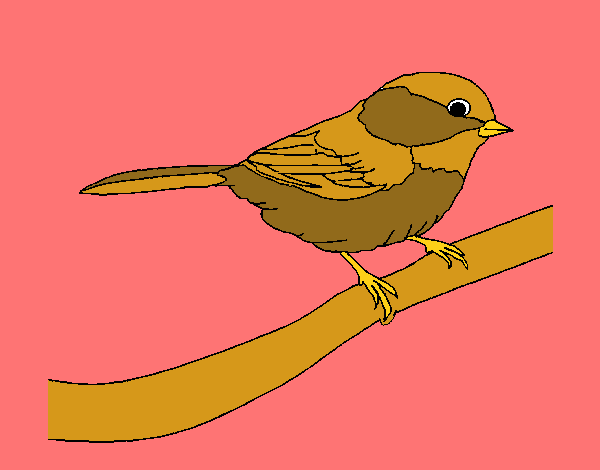 Dibujo Pájarito 1 pintado por ojodehorus