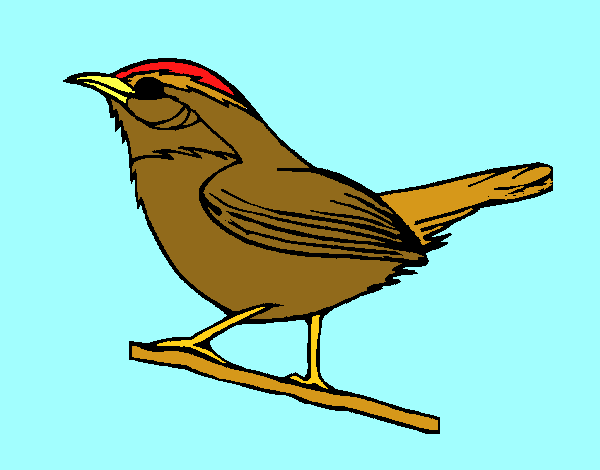 Dibujo Pájaro silvestre pintado por ojodehorus