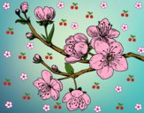 Dibujo Rama de cerezo pintado por Lovecat