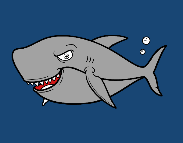 El tiburon de Natalia