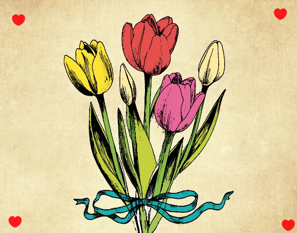 Unos tulipanes para la señorita