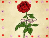 Dibujo Una rosa pintado por Lovecat