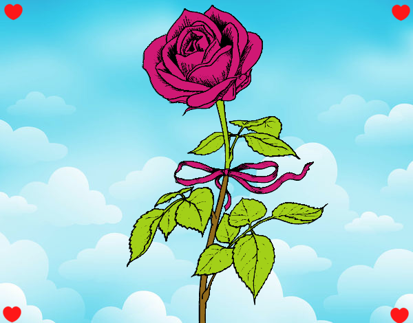 Dibujo Una rosa pintado por sofia04