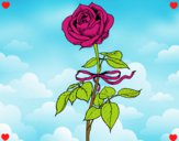 Dibujo Una rosa pintado por sofia04