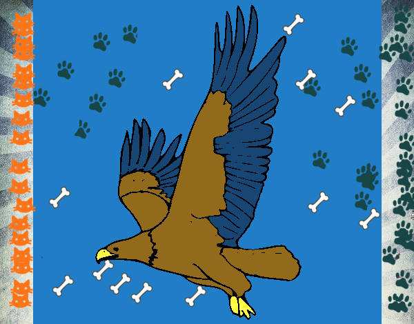 Águila volando