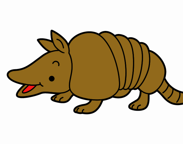 Armadillo joven