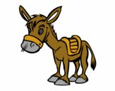 Burro de granja