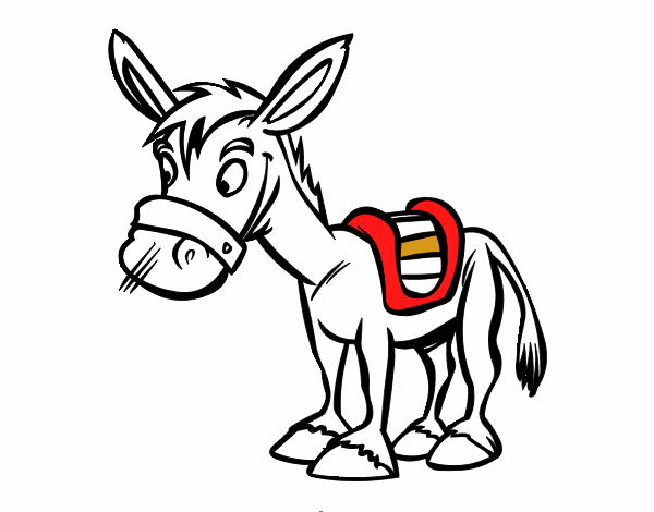 Burro de granja