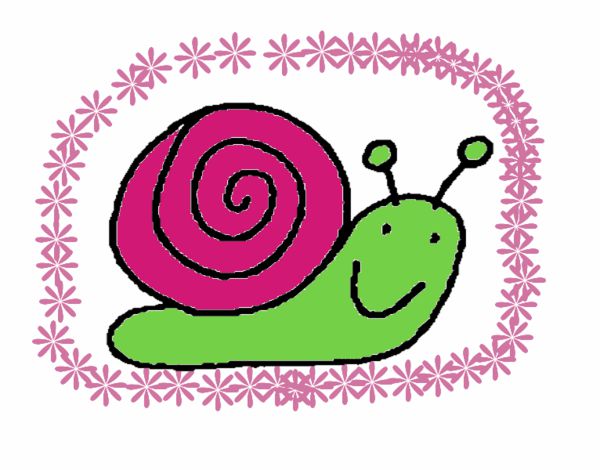 Caracol 4