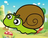 Caracol bebé