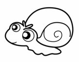 Caracol bebé