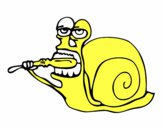 Caracol limpio