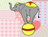 Elefante equilibrista