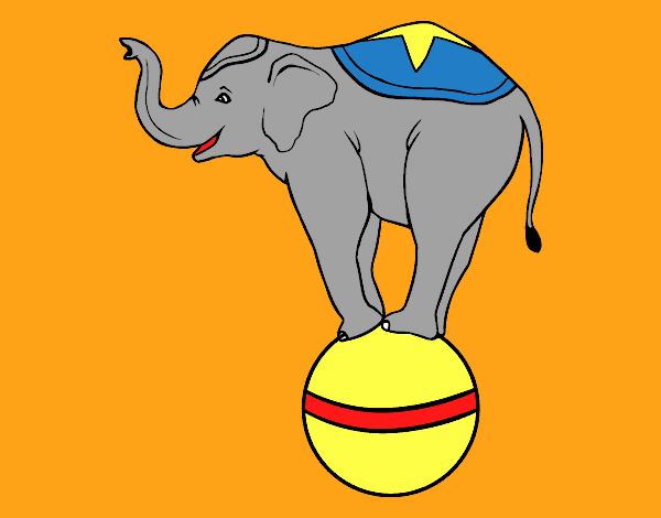 Elefante equilibrista