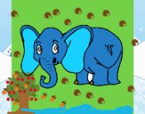 Elefante pequeño