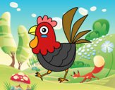 Gallina de granja