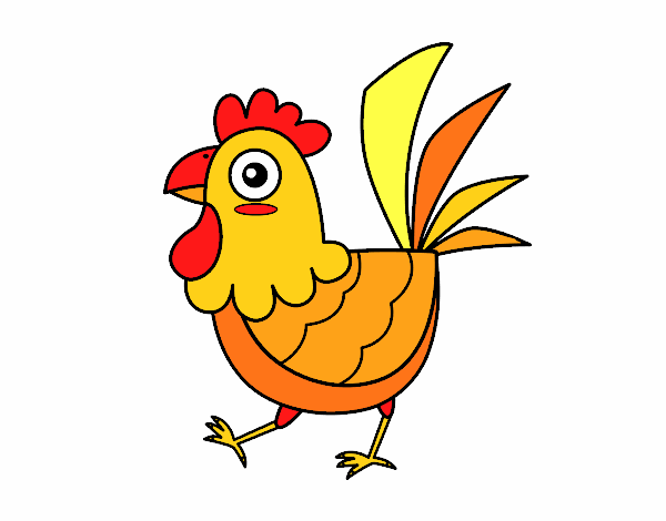 Gallina de granja