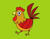 Gallina de granja