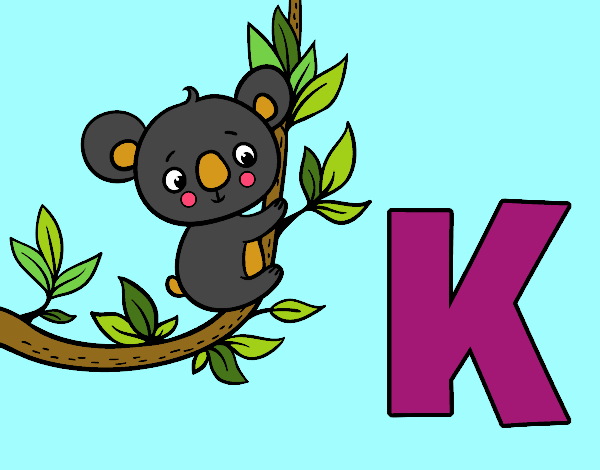 K de Koala