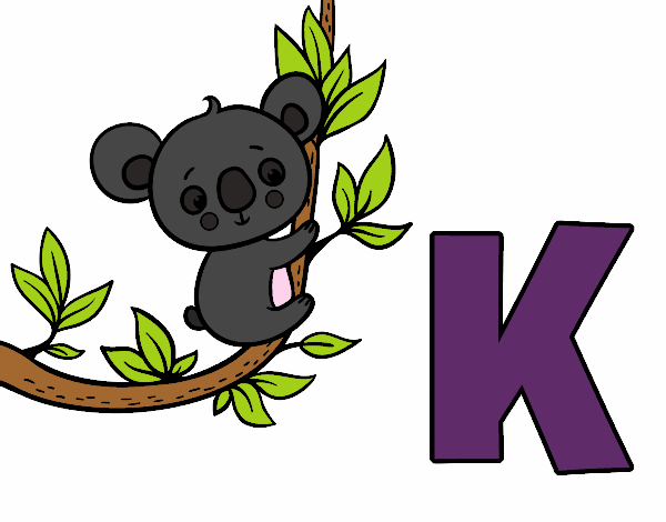 K de Koala