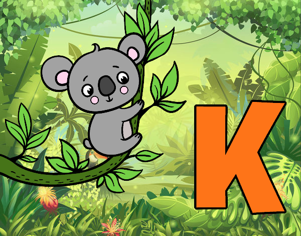 koala