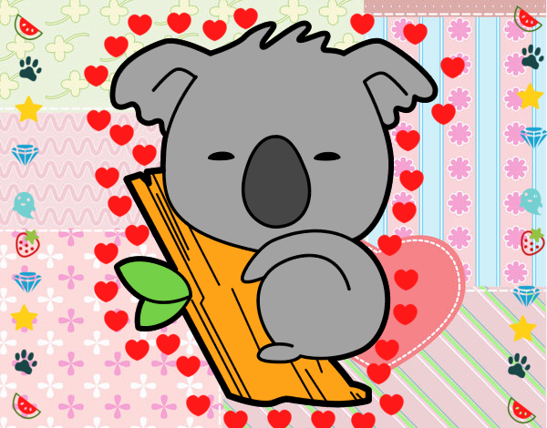 Koala bebé