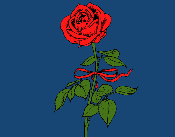 Una rosa