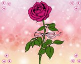 Dibujo Una rosa pintado por Mmaallee