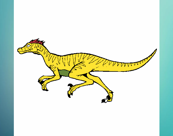 Velociraptor