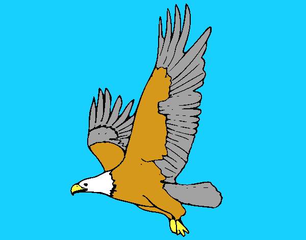 Águila volando