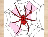 Araña