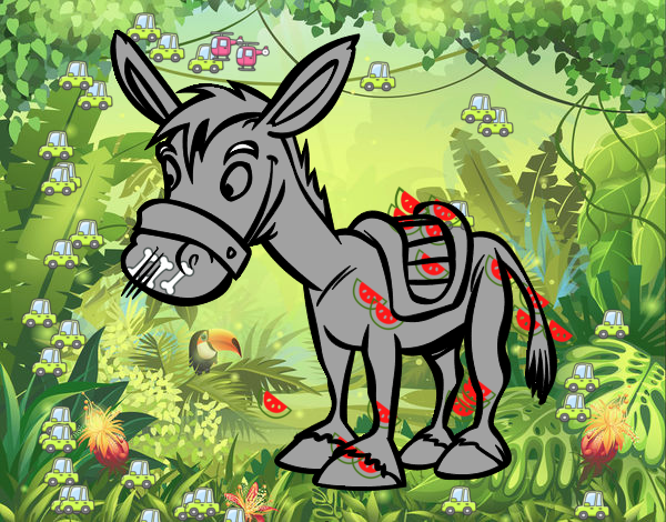 Burro de granja