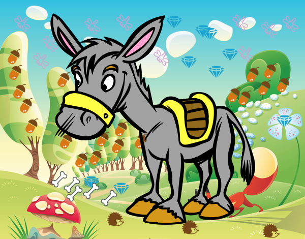 Burro de granja