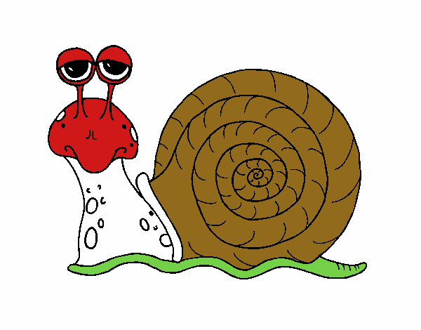 Caracol 3