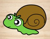 Caracol bebé