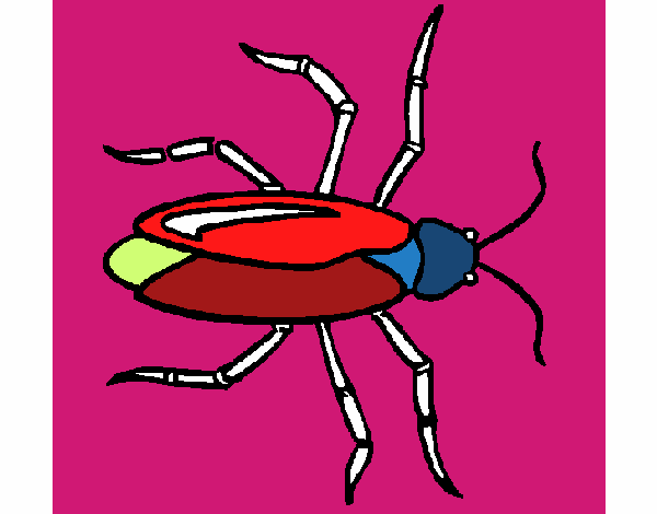 Cucaracha