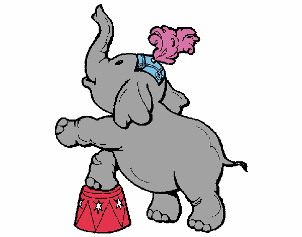 Elefante