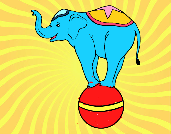 Elefante equilibrista