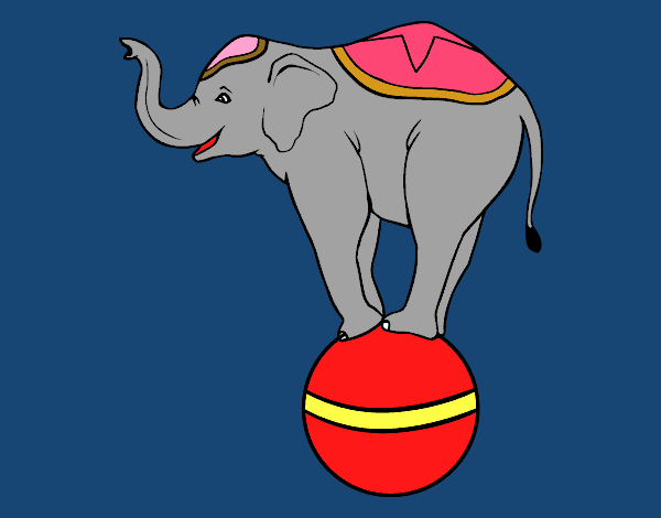 Elefante equilibrista