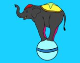 Elefante equilibrista